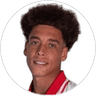 Axel Witsel, Midfielder for OGC Nice