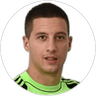 Nikola Petric, Goalkeeper for Borac Čačak
