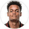Paulinho, Defender for Botafogo