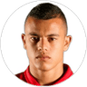Leonardo Castro, Forward for Millonarios