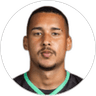 Batista Gabriel, Goalkeeper for Botafogo