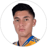 Marco Farfan, Defender for Tigres UANL