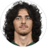 L. Bayramyan, Midfielder for Druzhba