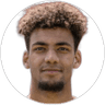Y. Ibrahim, Attacker for Sportfreunde Lotte