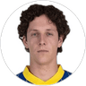 Domagoj Bradaric, Defender for Hellas Verona