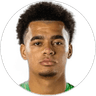 T. Dickson-Peters, Attacker for Norwich City
