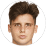 L. Dostal, Midfielder for Siegendorf