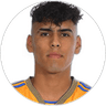 David Ayala, Midfielder for Alebrijes