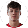 Fabio Gruber, Defender for 1. FSV Mainz 05