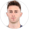 Ismail Yuksek, Midfielder for Fenerbahçe SK