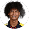 M. Angulo, Midfielder for LDU Quito