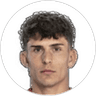 Tobias Hedl, Forward for Zulte Waregem