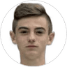 Daniel Langhamer, Midfielder for Mladá Boleslav