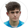 Lewis Webb, Goalkeeper for Coleraine