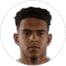 Raphael Borges Rodrigues, Forward for Coventry City