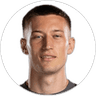 Denis Franchi, Goalkeeper for Potenza Calcio
