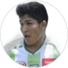 S. Pozo, Midfielder for Santa Cruz
