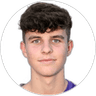 Florian Wustinger, Midfielder for FK Austria Wien