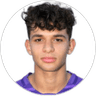 Ziad El Sheiwi, Defender for FK Austria Wien