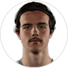 Nicolas Milanovic, Forward for Western Sydney Wanderers