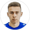 D. Shepilov, Midfielder for Fakel