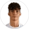 M. Fritzer, Midfielder for Wolfsberger AC II
