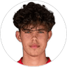 Tim Paumgartner, Midfielder for Grazer AK