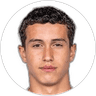 Sanel Saljic, Midfielder for FK Austria Wien