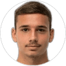 Armin Midzic, Defender for LASK