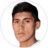 H. Salgado, Attacker for Universidad Concepción