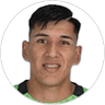Dixon Contreras, Goalkeeper for Palestino