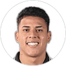 Martins Matheus, Forward for Botafogo