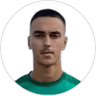 Alen Harbas, Attacker for Sydney