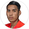 J. Lara, Attacker for Santa Cruz