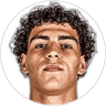 Guilherme Peixoto, Defender for FC Twente