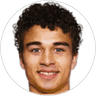 Henrik Skogvold, Forward for Fredrikstad FK