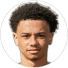 Ranel Young, Forward for Bristol City