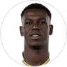 Fallou Cham, Midfielder for Hellas Verona