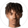 Antonio van Wyk, Forward for Ried