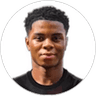 Farid Alfa-Ruprecht, Forward for Hertha BSC