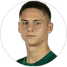 Bence Dardai, Midfielder for VfL Wolfsburg