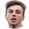Ilia Ivanschitz, Midfielder for Liefering