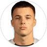 Milan Roganovic, Defender for FK Partizan