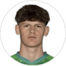 Lukas Schweighofer, Midfielder for Austria Salzburg
