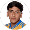 Alexander Sanchez Guevara Diego, Midfielder for Tigres UANL