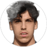L. Gozzo, Attacker for Frosinone U19