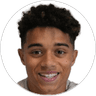 Joshua King, Midfielder for Fulham