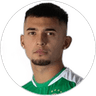 Y. Salazar, Defender for Audax Italiano