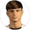 Dimitrije Jankovic, Midfielder for FK Partizan