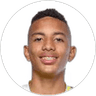 Jordan Barrera, Midfielder for Botafogo